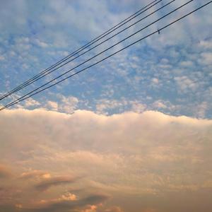 欧美色综合二区
